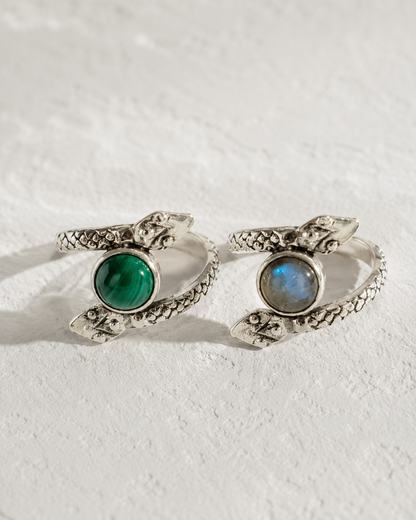 Two silver rings with snake-like designs and gemstones are displayed on a white surface.